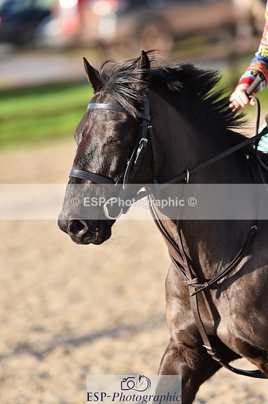 231210-125132-00598 - Cls 4 60cm