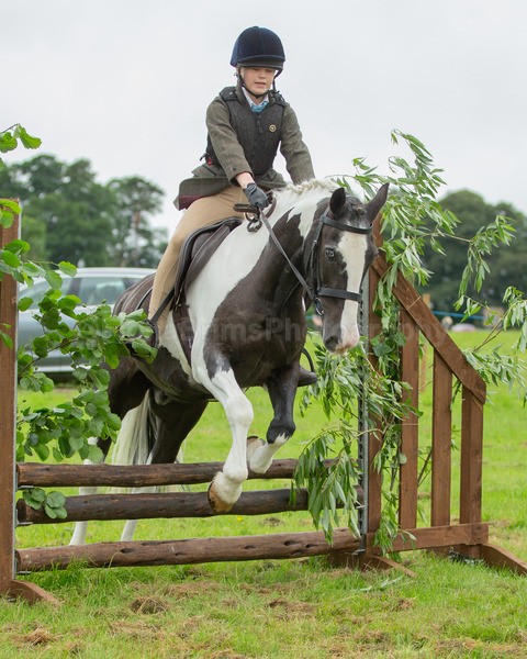 Dunblane show-145 - Dunblane and Doune Show Ring 1