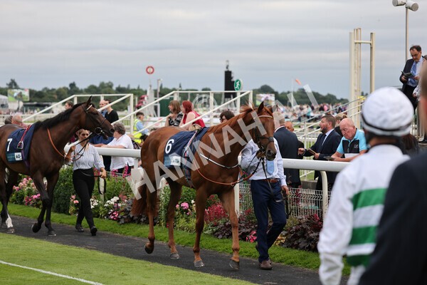 yr23072021r4-3 - Race 4 7.30pm British Stallion Studs EBF Lyric Fillies' Stakes