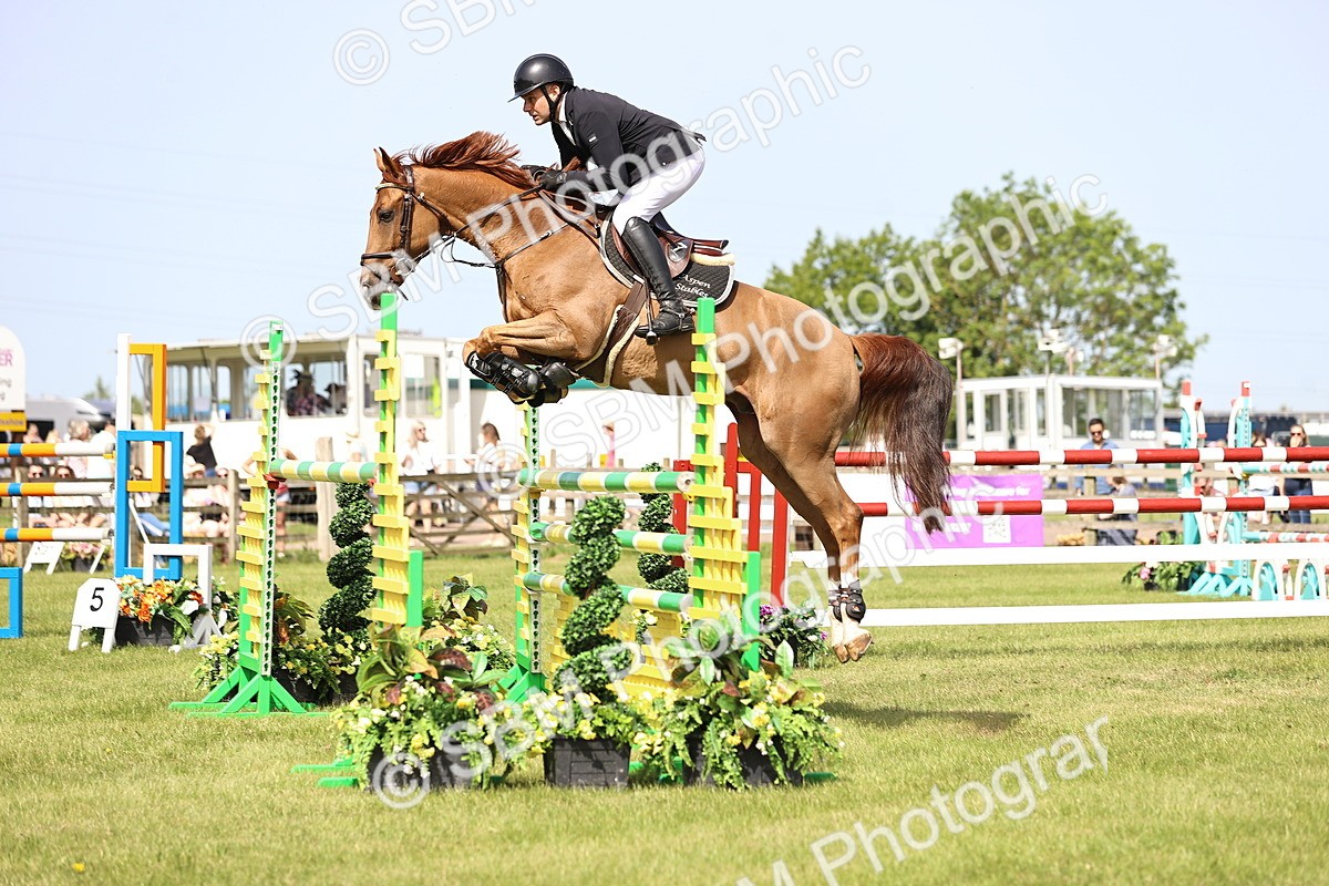 SBM_02977 - Class 201 - British Horse Feedds Speedi Beet HOYS Grade C