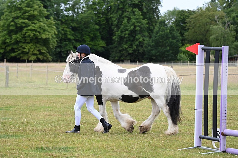 WJ6_8764 - Class 10 Coloured in-hand