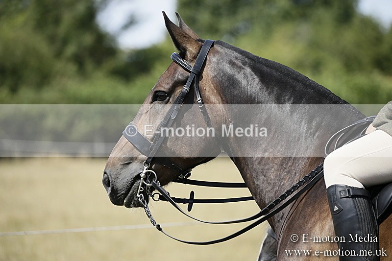 LP220718-10 - Roving Camera BVRC Show 2018