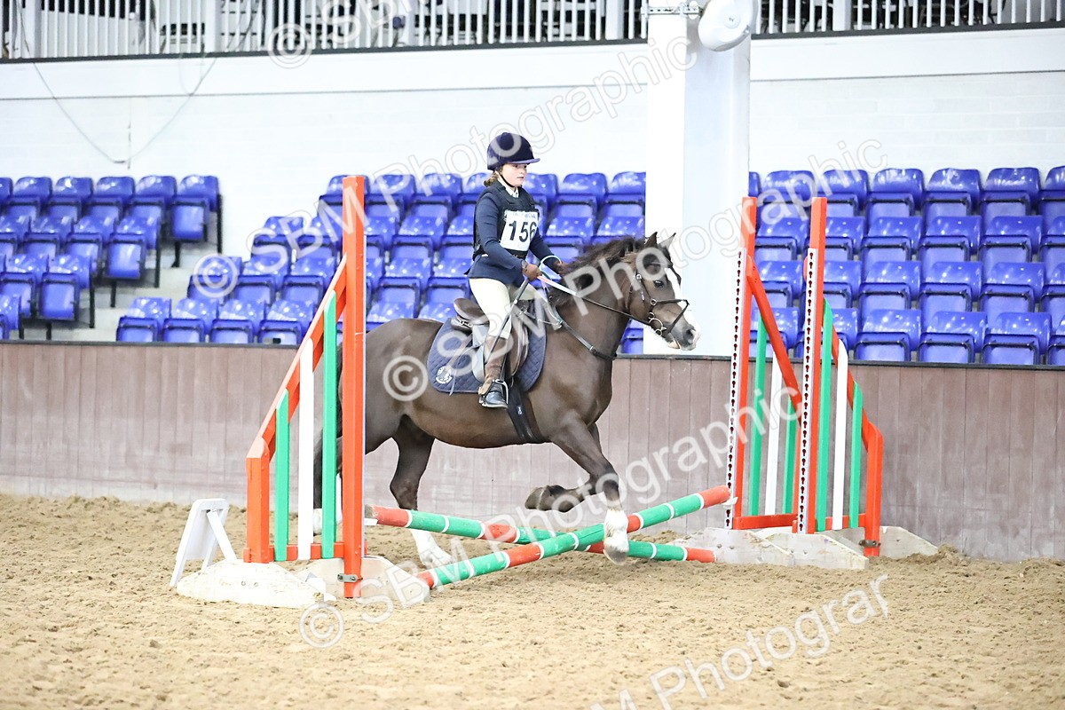 SBM_000236 - Class 2 - The Rug Lady 40cm Area 12 Championship Qualifier