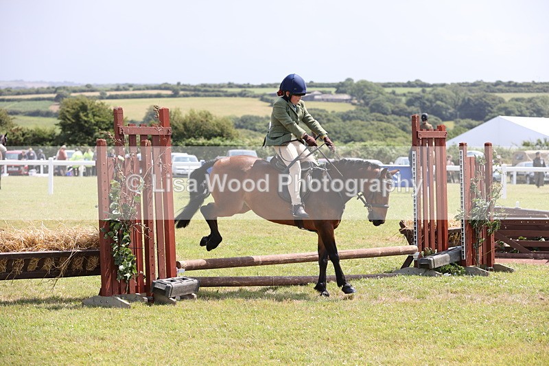 JPP_1821 - Class 18: Tiny Tots Working Hunter Pony