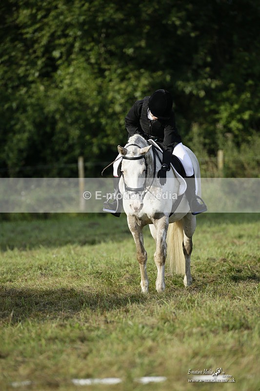 BVRC 120921 31 - Bourne Valley Riding Club UA Dressage & Show Jumping 12/09/21