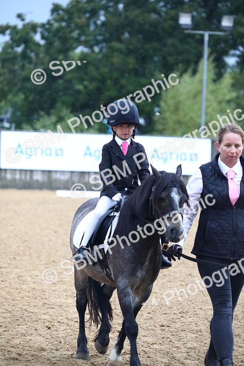 SBM_34633 - D26 - Starters Lead Rein