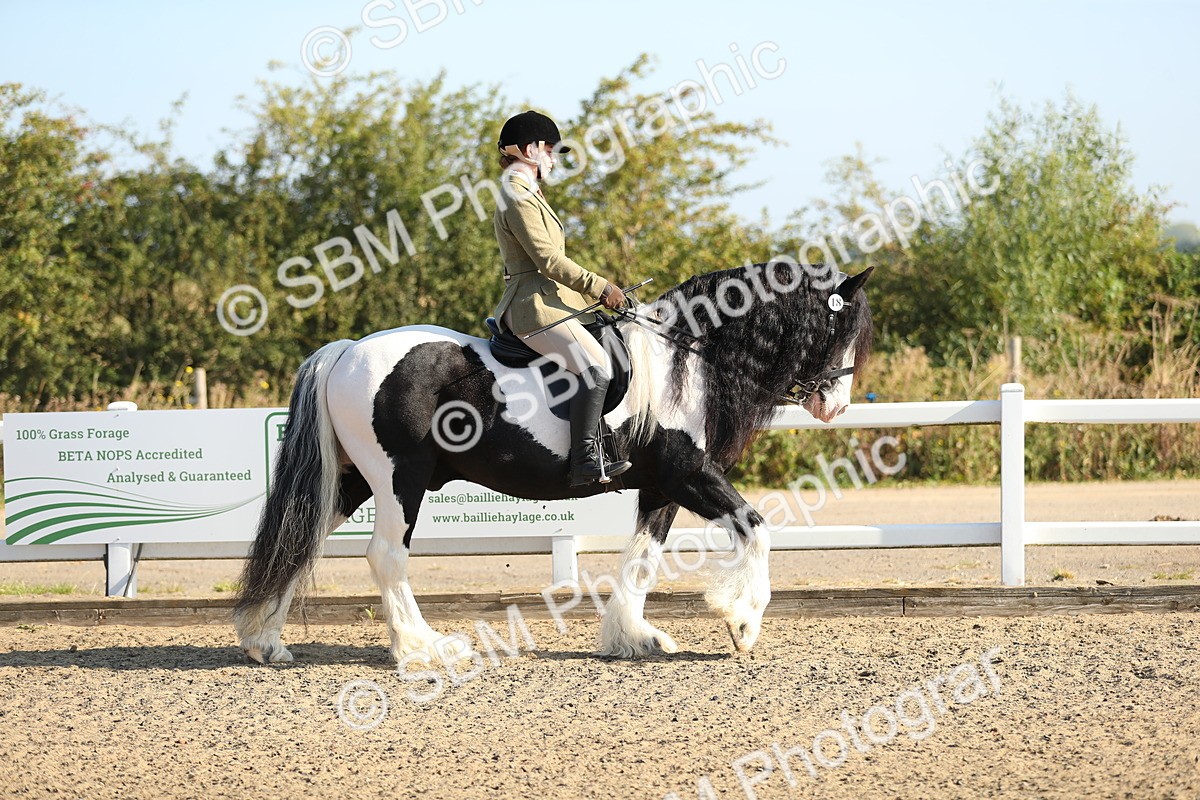 SBM_01102 - Class 42 Ridden Veteran