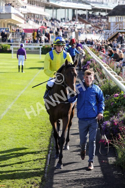 yr08102022r2-18 - Race 2 2.05pm The Coral Rockingham Stakes