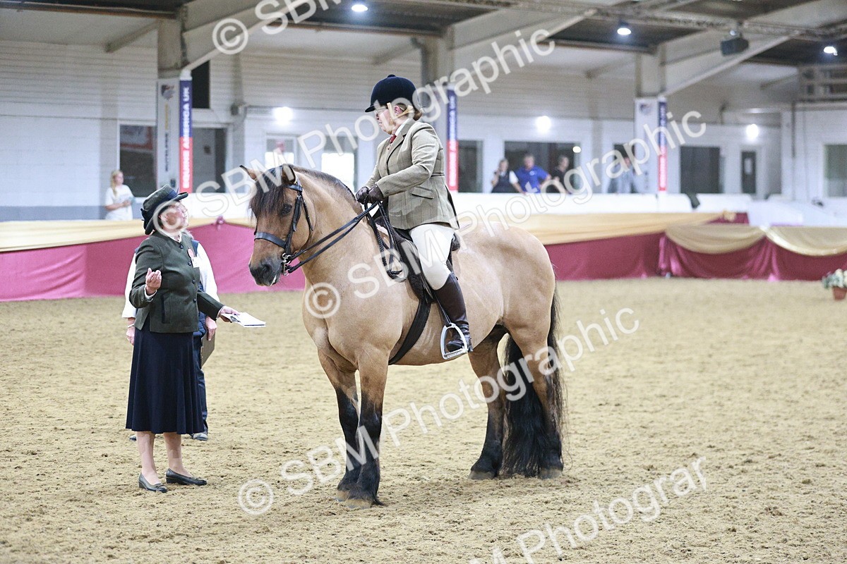 SBM_08101 - Class 11R - Regional Ridden Veteran