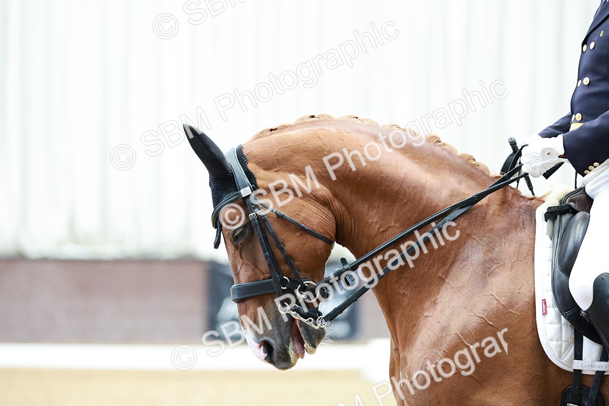 SBM_015721 - Class 5 - FEI INT II - 15.48-17.00