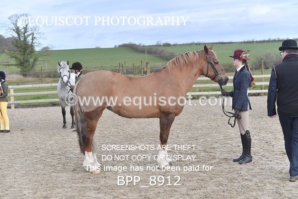 BPP_8912 - RING 2 - M&M