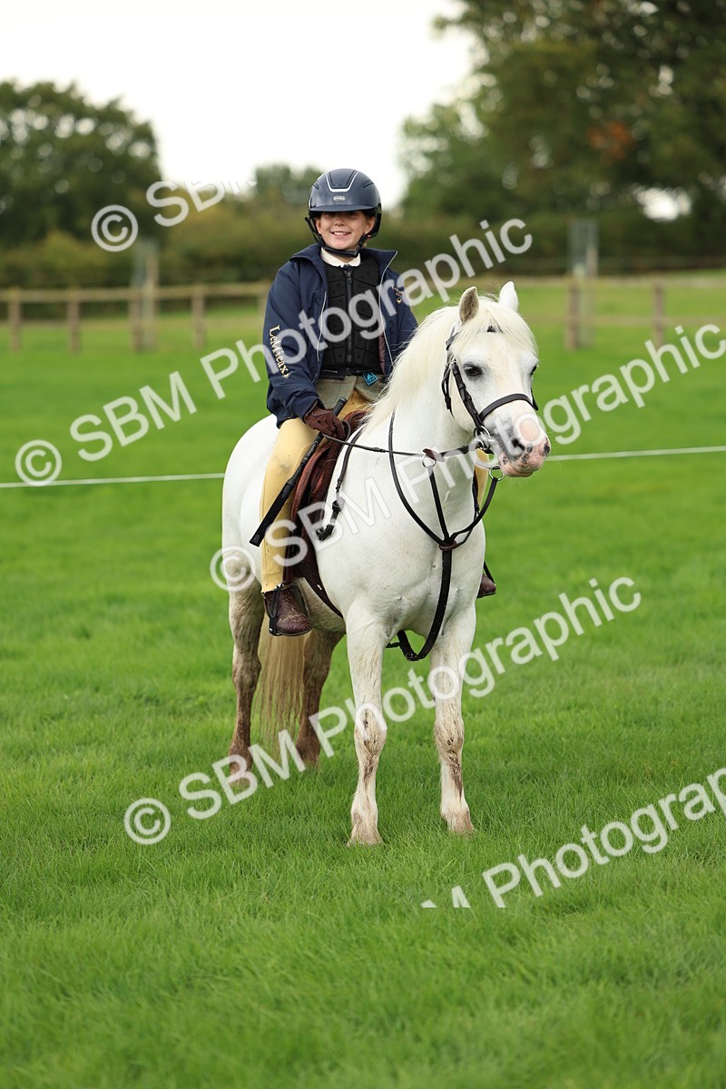 SBM_41859 - S32 - Mountain & Moorland Working Hunter Pony