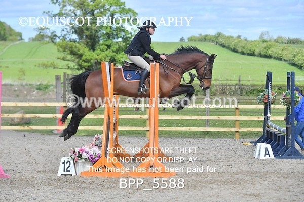 BPP_5588 - CLASS 24 SUN Senior BritiNovice/ 90cm Open