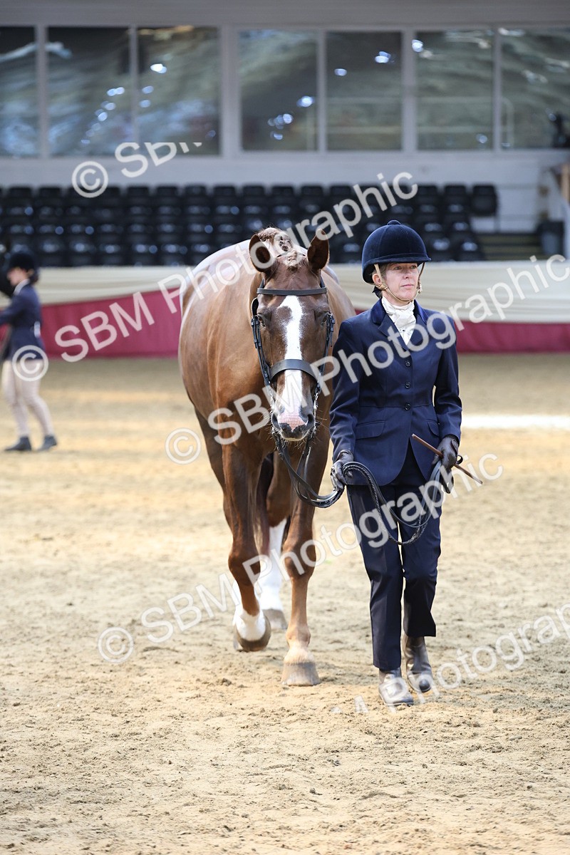 SBM_23334 - Class 903 - Supreme Final - IH Pre Vet