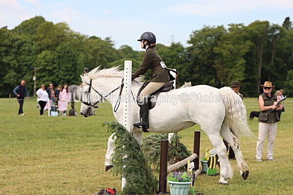 IMG_2505 - Working Hunter
