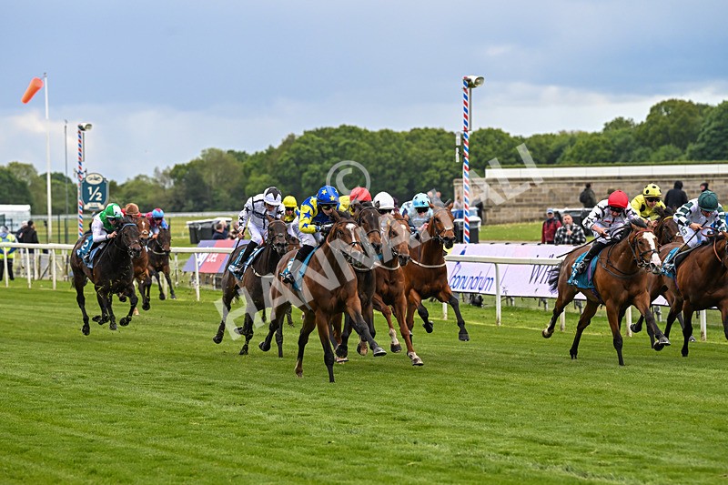 130526-Race 6-Startled-3421 - Race 6 4.40pm Conundrum HR Consulting Handicap