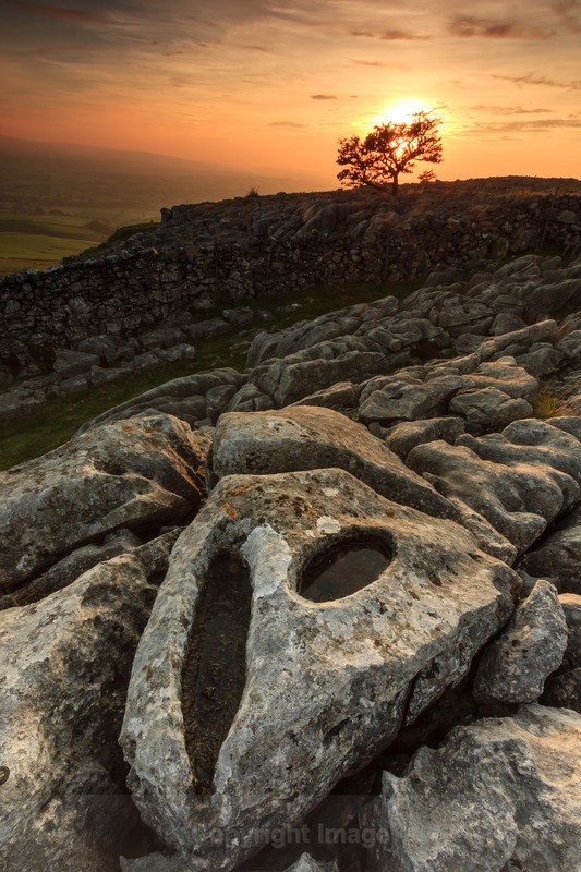 Dales Dinosaurs - Distant Hills