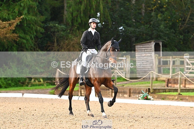 231021-091359-12796 - 324-HAZZLE.DAZZLE-Henry.Hobby-DR