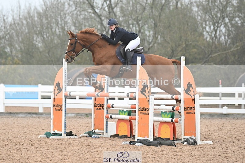 241102A-094811-03615 - SAT Cls 14 Blue Chip Joint Care Power Champ Quali