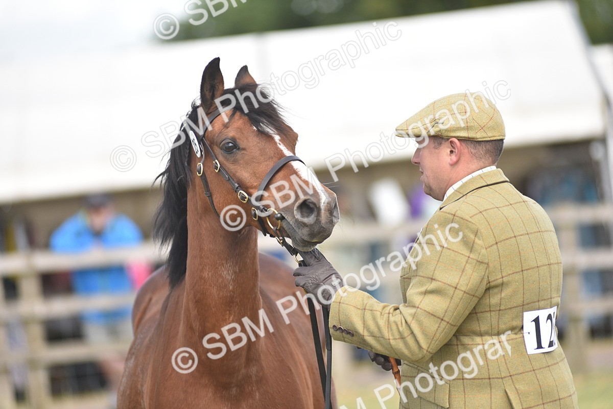SBM_16084 - Class 117-122 - SSADL RIHS Qualifier