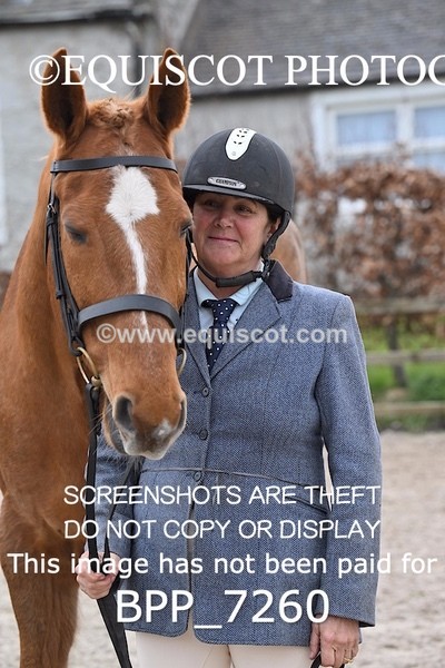 BPP_7260 - RING 1  (RIDDEN HORSES / IN HAND / VETERAN ETC)