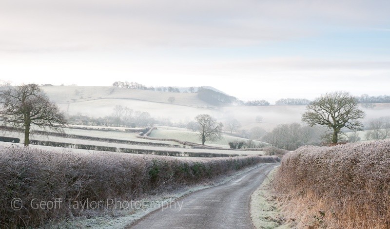 Lower Dinchope - Wenlock Edge