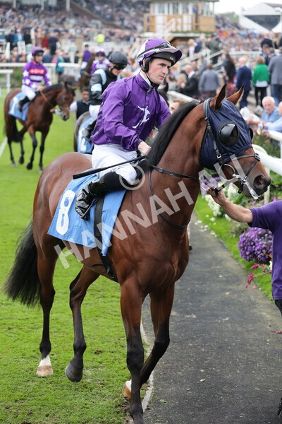 yr09102021r1-21 - Race 1 1.30pm Watch Racing Free Online At Coral Nursery Handicap