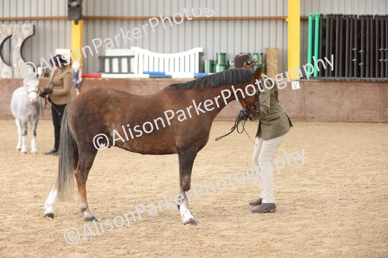 20251109-0652 - Class 22 - Geldings 4 Years and over