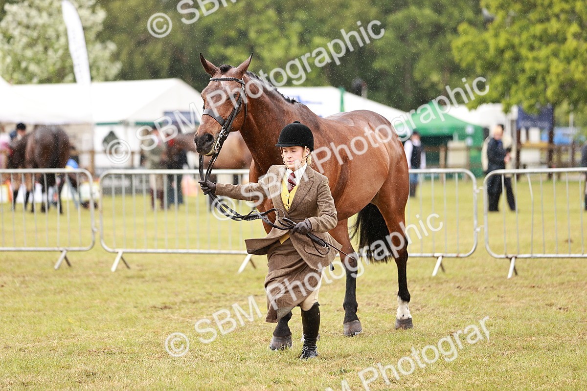 SBM_11004 - Class 81-84 - RIHS Ridden hunters Inc Ladies Hunter