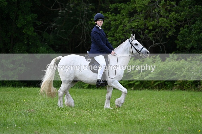 WJ7_2577 - Class 12A Coloured Class