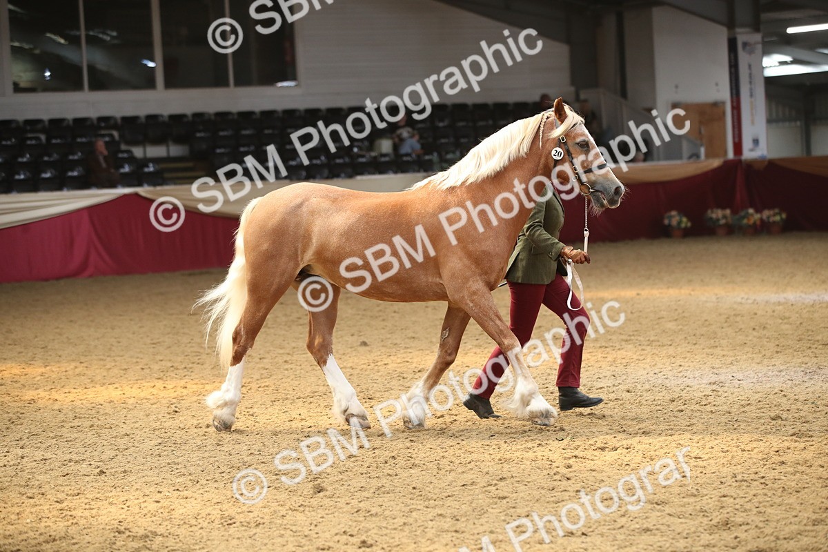 SBM_05348 - Class 8R - Regional IH Veteran
