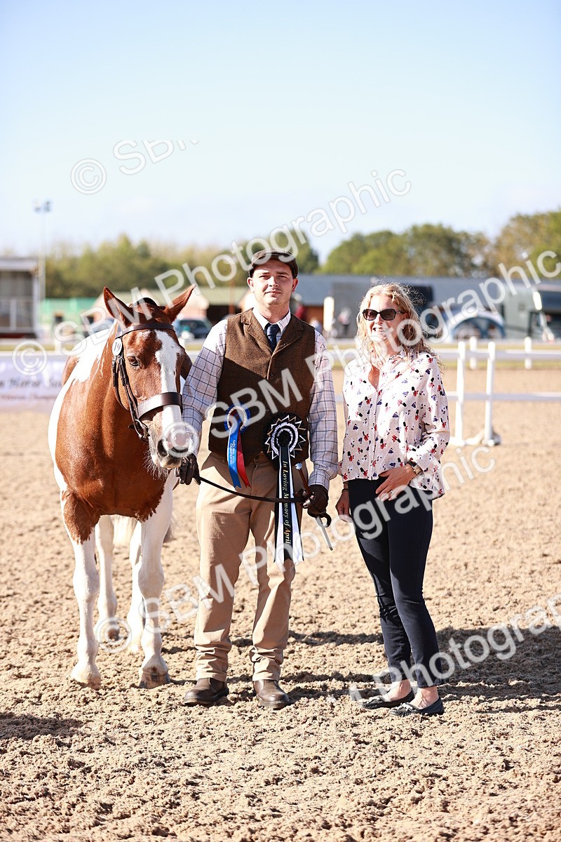 SBM_22091 - Class 703 - IH Coloured