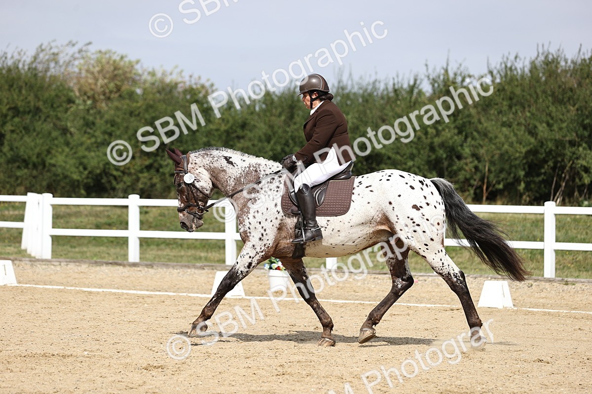 SBM_016839 - Class 14 Novice 23 - 11.53-12.56