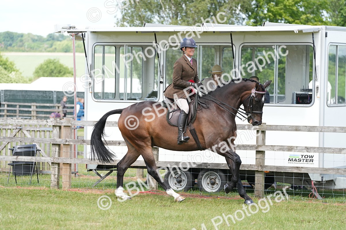 SBM_16293 - Class 105-106 - RIHS Riding Horses