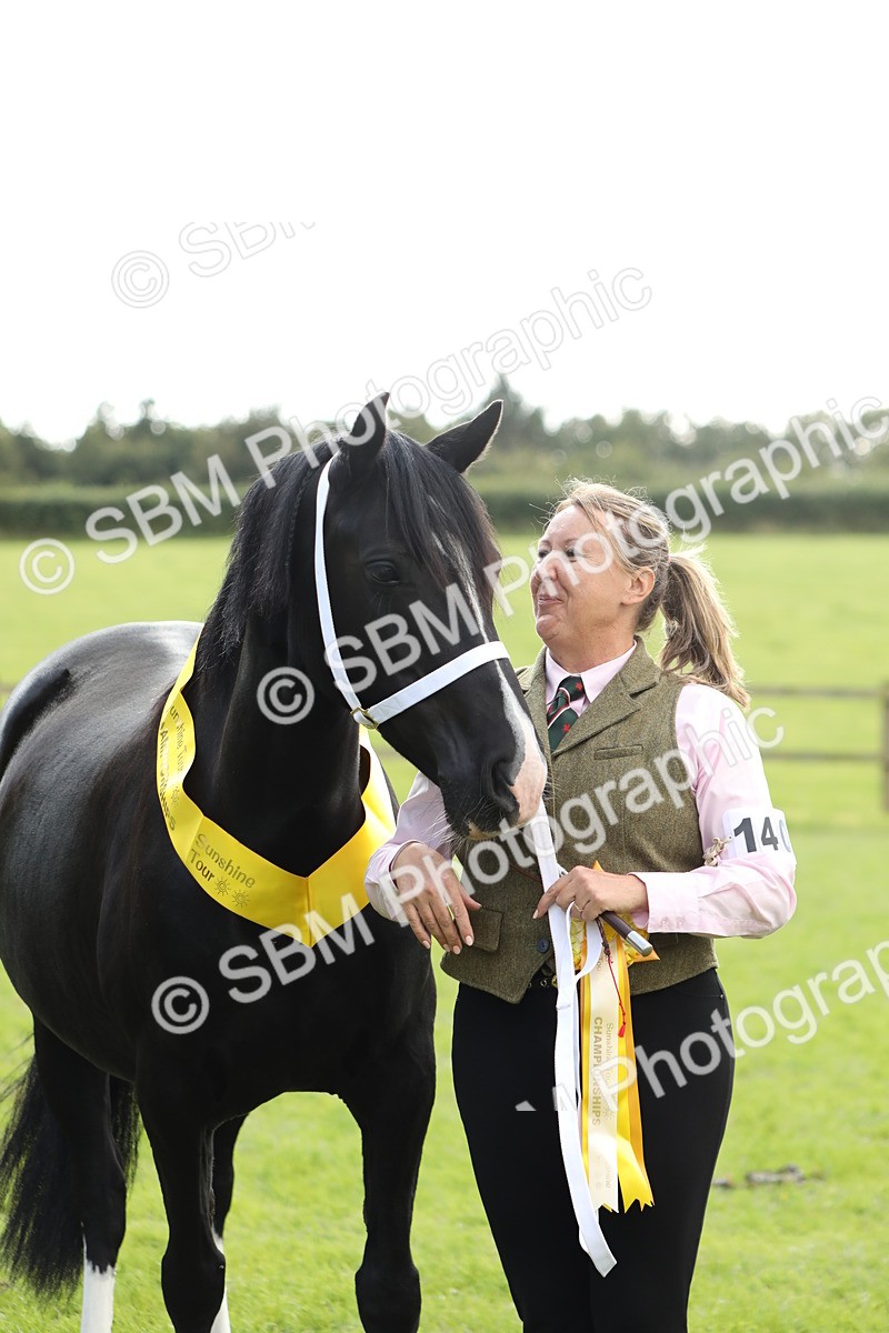 SBM_65523 - S47 - Mountain & Moorland In Hand Large Breeds