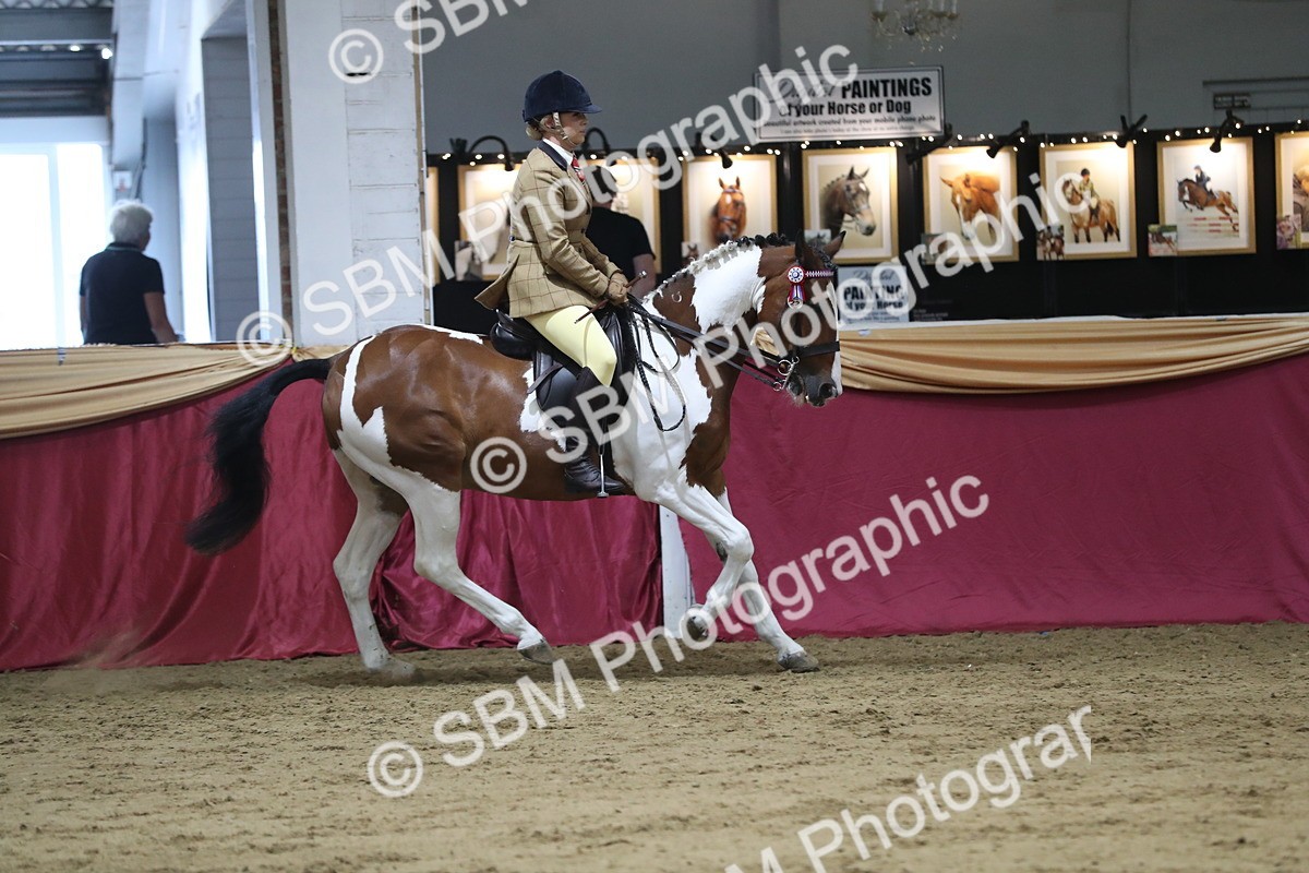 SBM_08441 - Class 11R Regional Ridden Veteran