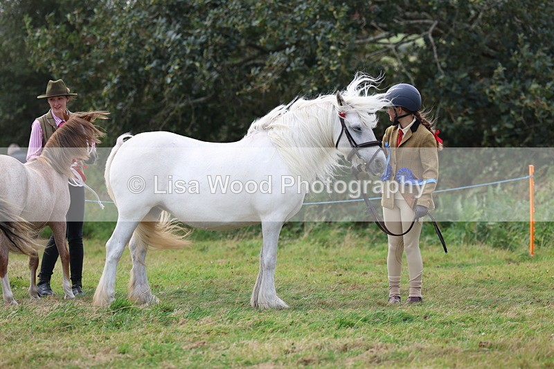 3E7A5624 - In Hand Championship