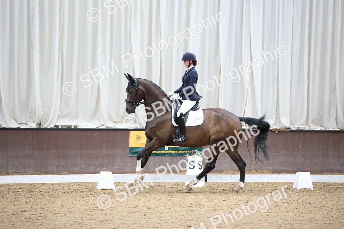 SBM_003387 - Class 5 - Novice 6 Gold - 13.05-14.00