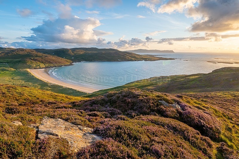 MF2_1880 - Tranarossan