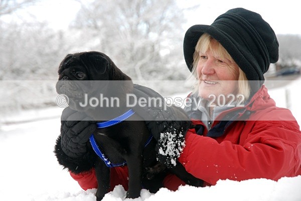 December Snow 2 - Walking the Dog