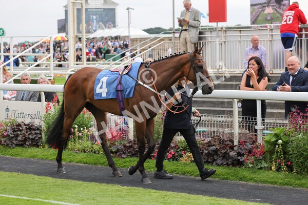 yr24072021r7-2 - Race 7 5.35pm The Sporting Life Fast Results Stakes