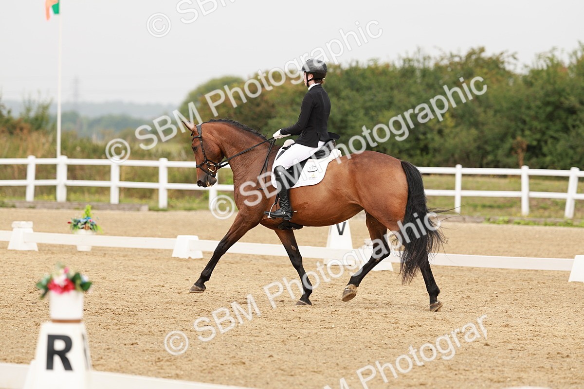 SBM_009380