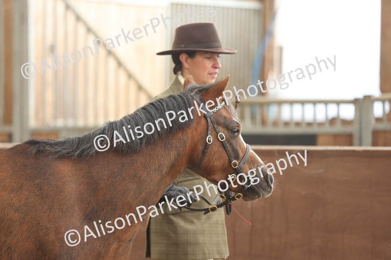 20251109-0592 - Class 22 - Geldings 4 Years and over