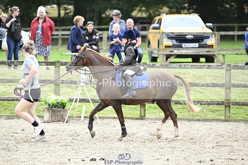 240822X-131303-07950 - 40cm LR R2 13.00 to 15.00