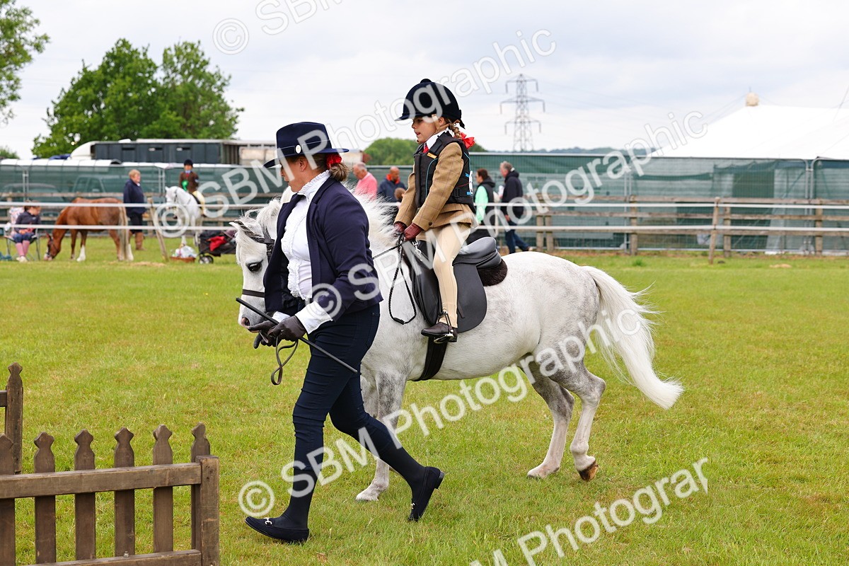 SBM_08122 - Class 42-43 - LIHS BSPS Heritage Working Sports Pony