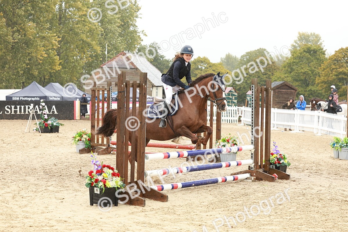 SBM_71231 - J14 - Junior Pony 65cm Championship