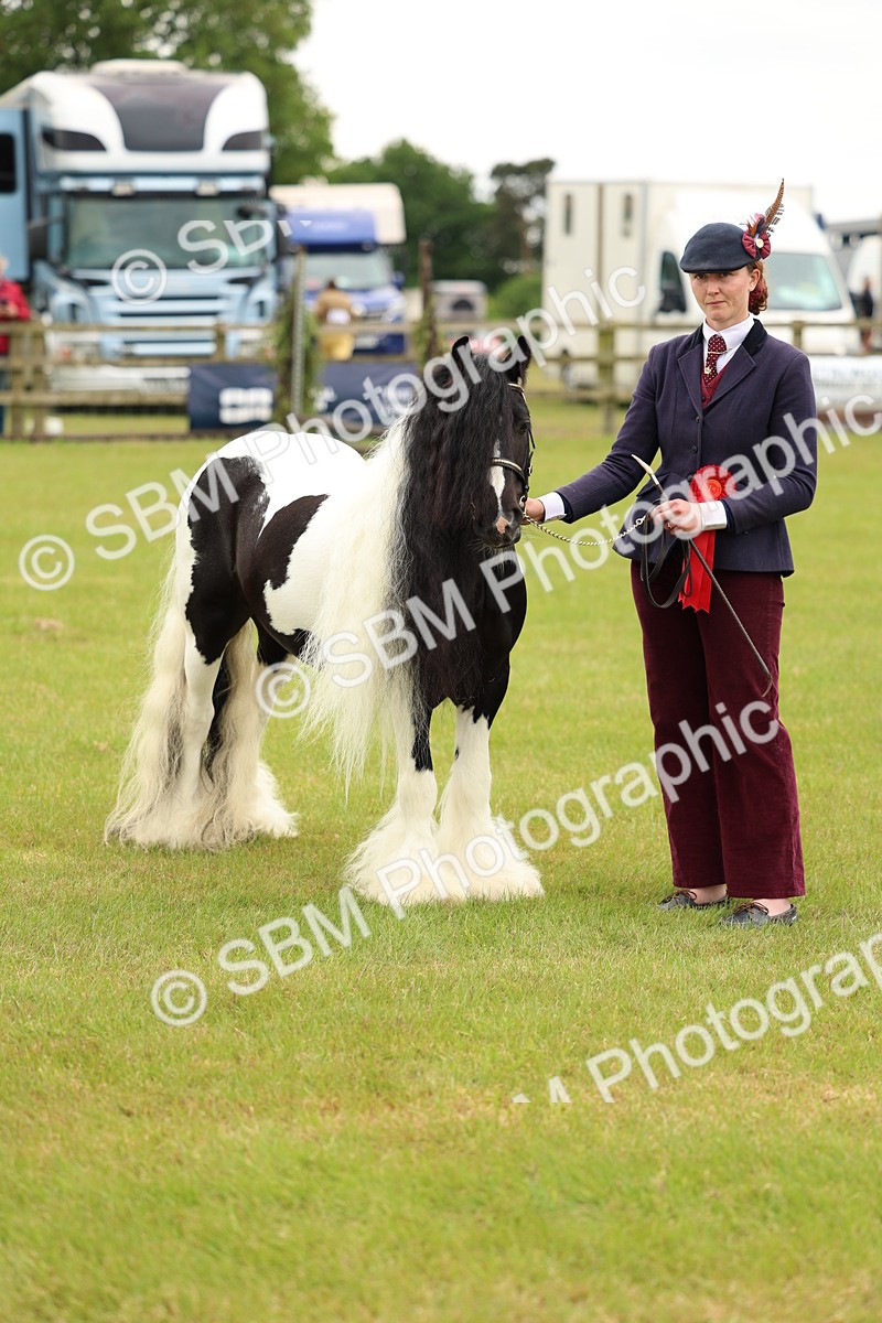 SBM_06303 - Class 39-41 TGCA In Hand and Ridden