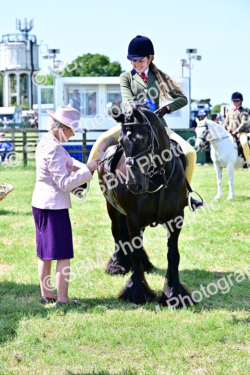 SBM_14029 - Class 95-97 - BSPS LHS Performance Ponies