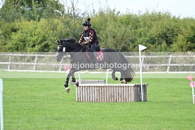 WJ7_8345 - 60cm Pairs