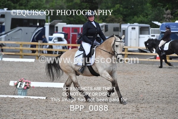 BPP_0088 - PRELIM 5 Q